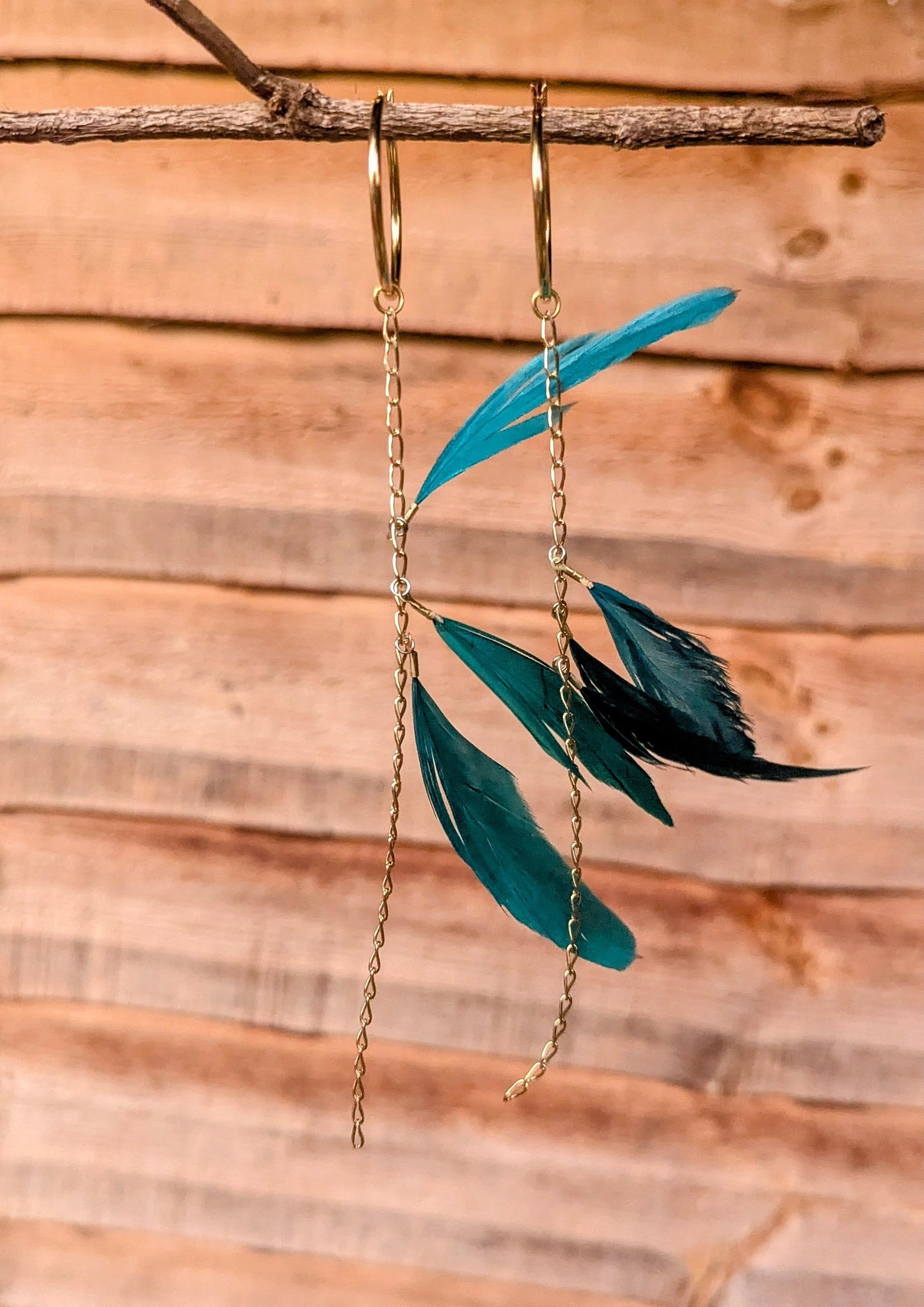 Moon & Milk teal feather earrings with gold chains and hoops, hanging from a branch against a warm wooden background.