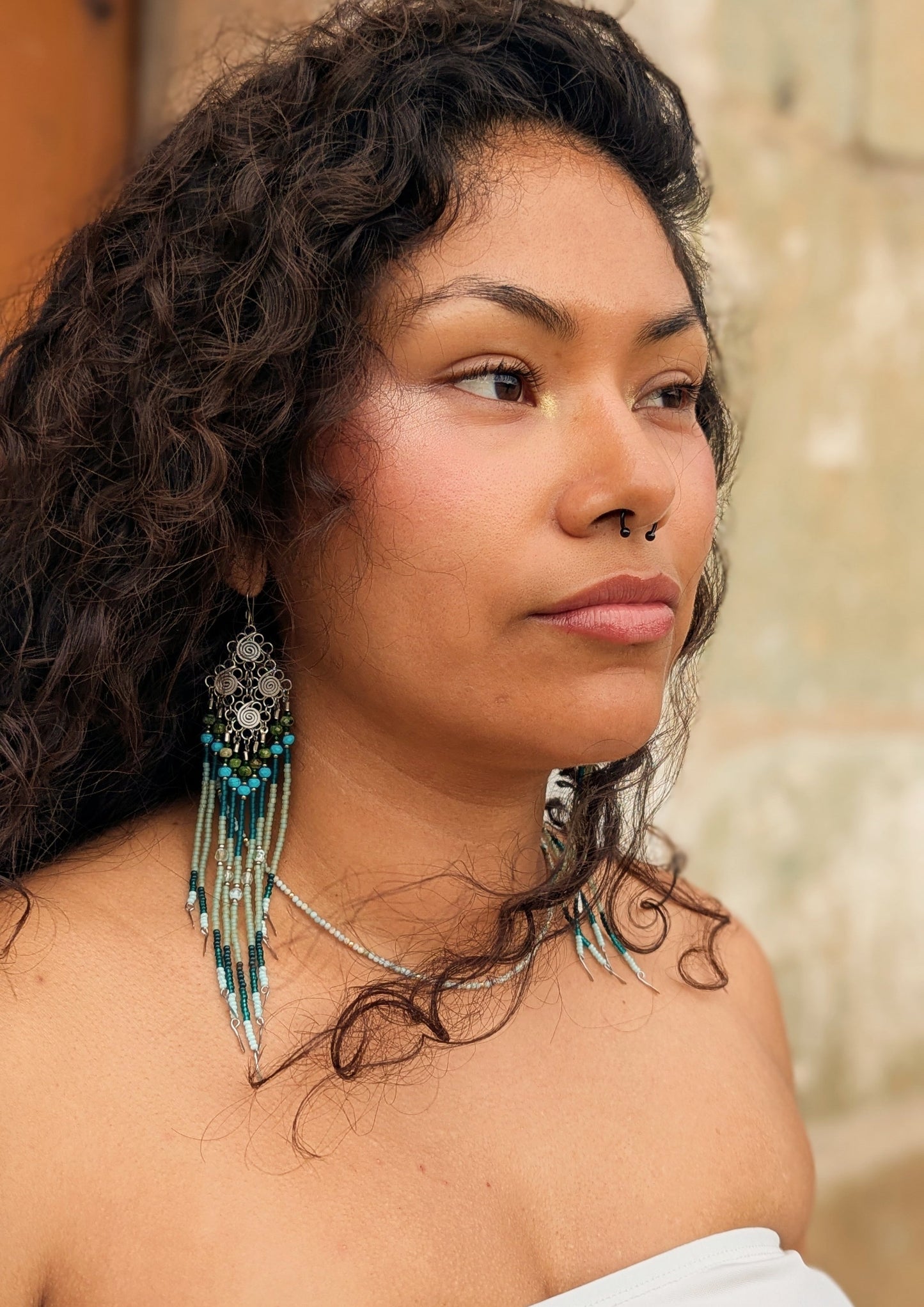 Caracoles en el Agave